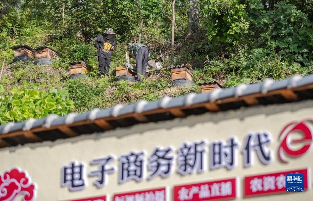 百利宫网上开户